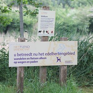 Sign Red deer - Mouflon Walk-through