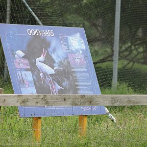 Sign European white stork