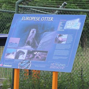 Sign European otter