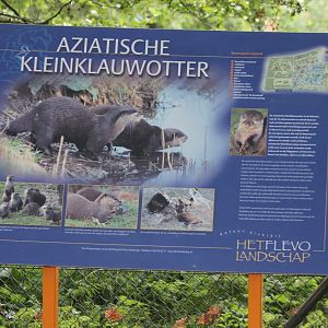 Sign Asian Small-clawed otter