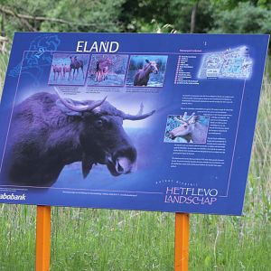 Sign Eurasian elk