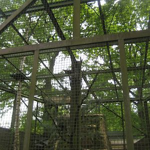 Parc Merveilleux - crested caracara and greater curassow aviary