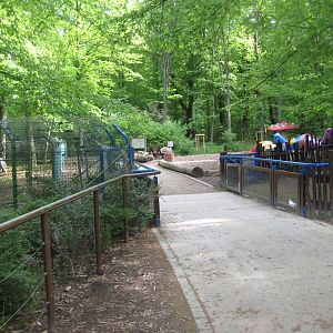 Parc Merveilleux - view into woods