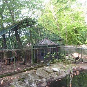Parc Merveilleux - raccoon exhibit