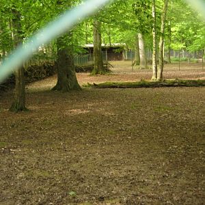Parc Merveilleux - Visayan spotted deer exhibits