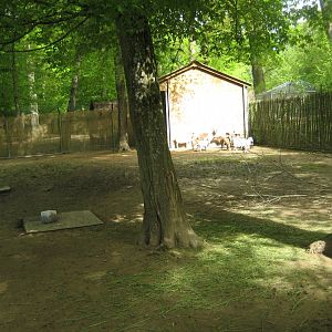 Parc Merveilleux - goat pen