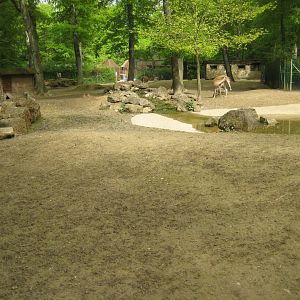 Parc Merveilleux - South American exhibit