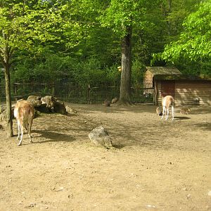 Parc Merveilleux - South American exhibit