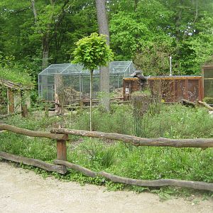 Parc Merveilleux - view to parrot aviaries