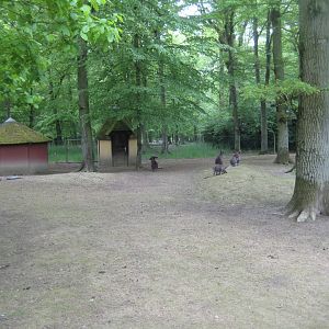 Parc Merveilleux - red-necked wallaby exhibit