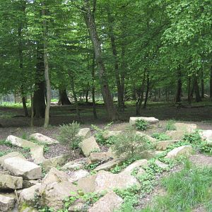 Parc Merveilleux - wolf exhibit