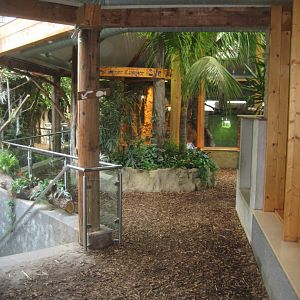 Parc Merveilleux - Amazonia