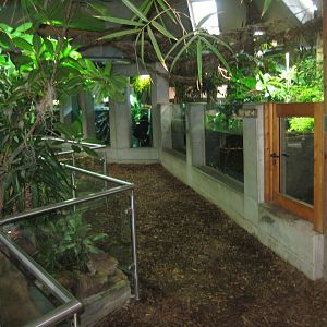 Parc Merveilleux - Amazonia