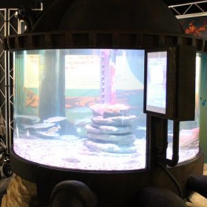 Enclosure Japanese giant spider crab