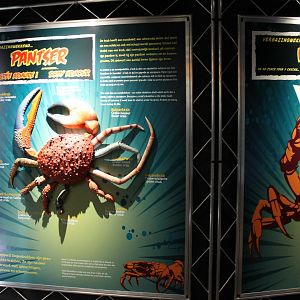 Crab-information signs