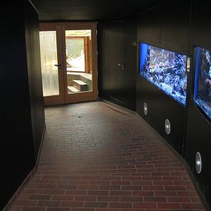 Parc Merveilleux - aquarium hallway