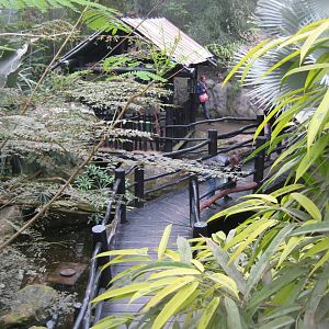 Parc Merveilleux - Mahajanga