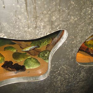 Parc Merveilleux - Mahajanga - aquarium