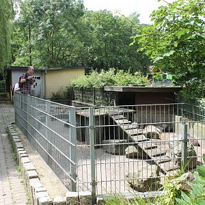 Enclosure African crested porcupine