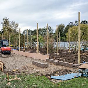 Rainbow Aviary Construction - 11/11/2016