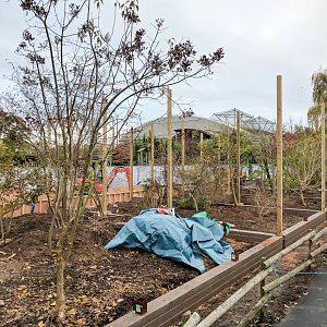 Rainbow Aviary Construction - 11/11/2016