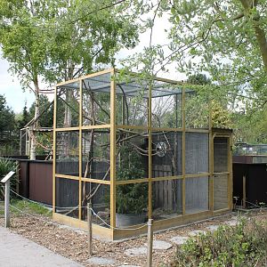 Enclosure Hudson's squirrel