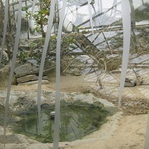 Parc Merveilleux - Mahajanga - radiated tortoise exhibit