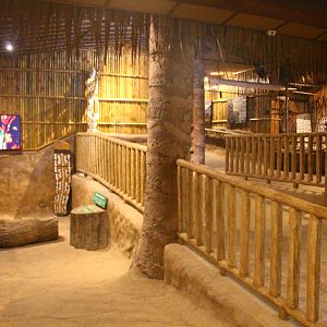 Fragile Forest - Discovery Centre