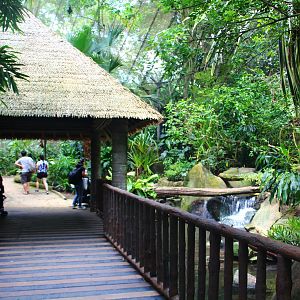 Fragile Forest - Biodome