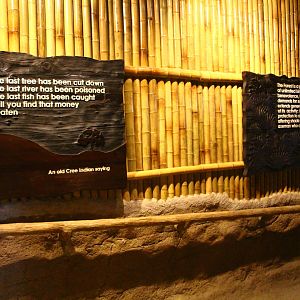 Fragile Forest - Wise words