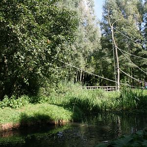 Squirrel monkey islands