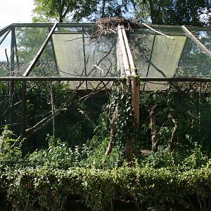 Alaotra bamboo lemur enclosure