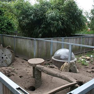 Meerkat enclosure