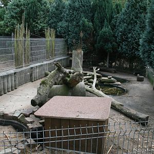 Coypu enclosure