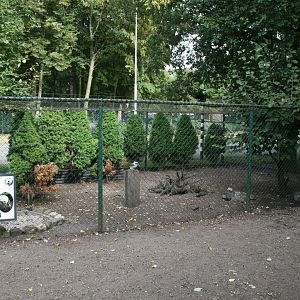 mixed species aviary