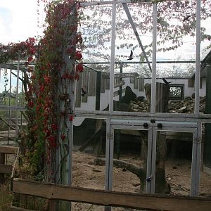 Mixed species exhibit