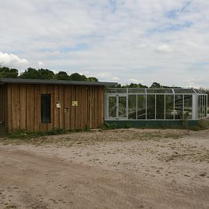 Kusimanse enclosure