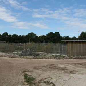 New Spotted hyena enclosure