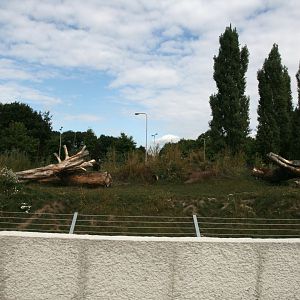 Viewpoint in the new Spotted hyena enclosure