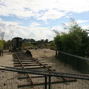 New Prairie dog enclosure