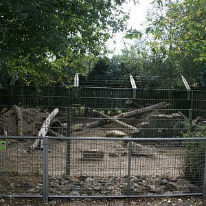 Silver fox enclosure