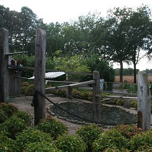 Red-and-green macaw enclosure
