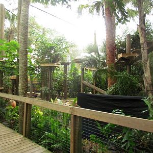 Jaguar Exhibit Expansion