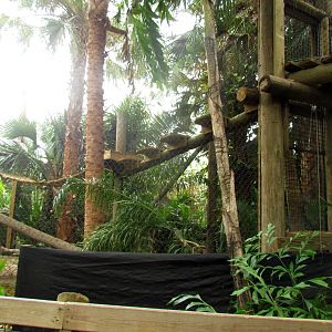 Jaguar Exhibit Expansion