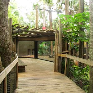 Jaguar Exhibit Expansion