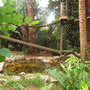 Jaguar Exhibit Expansion