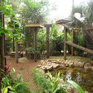 Jaguar Exhibit Expansion