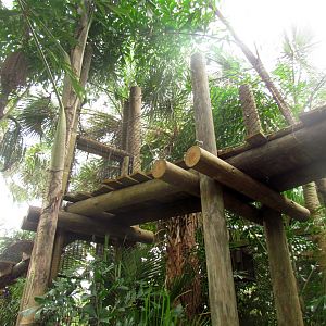 Jaguar Overhead Transfer