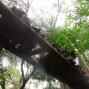 Jaguar Overhead Transfer