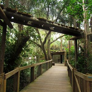 Jaguar Overhead Transfer